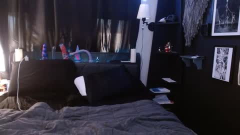 Averi online show from 02/25/25, 11:22