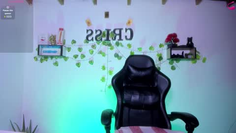 Snapshot of cfiscm chatting on 02/13/26, 10:39 NAMOR online show from 02/13/26, 10:39