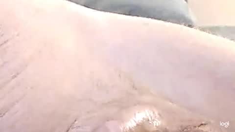 cfnmkinky28 online show from 12/17/24, 09:07