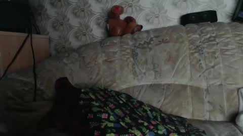 chacoa online show from 01/18/26, 12:09