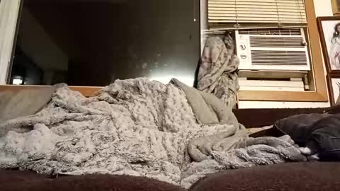 Chad420247 online show from 02/11/26, 12:37