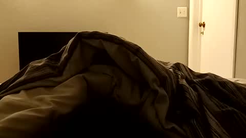 Snapshot of chadr1616 chatting on 02/01/25, 01:09 chadr1616 online show from 02/01/25, 01:09