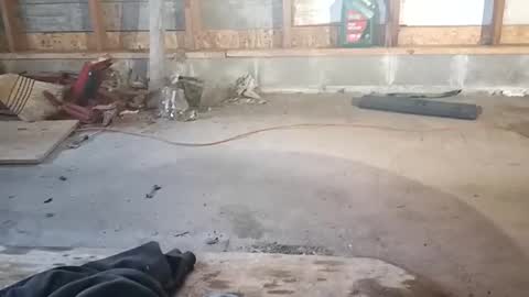 Snapshot of chadr1616 chatting on 11/15/25, 03:52 chadr1616 online show from 11/15/25, 03:52