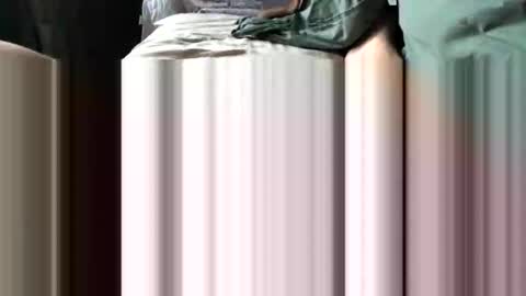 challe online show from 12/03/25, 09:51