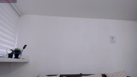 Charlotte  Everyday From 0700 to 1300 Col Time online show from 02/22/25, 11:46