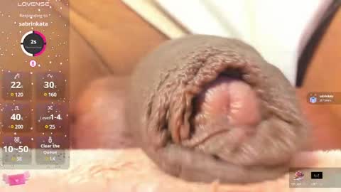 Snapshot of charlottelaurent chatting on 02/25/25, 11:11 Char online show from 02/25/25, 11:11