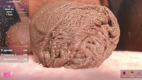 Snapshot of charlottelaurent chatting on 03/10/25, 01:01 Char online show from 03/10/25, 01:01