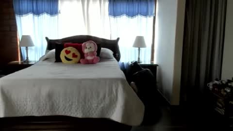 Charlotte online show from 02/12/26, 04:35