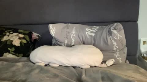 Vicky online show from 09/19/25, 07:36