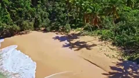 Snapshot of chat_nonnude chatting on 12/17/24, 04:21 Sam online show from 12/17/24, 04:21