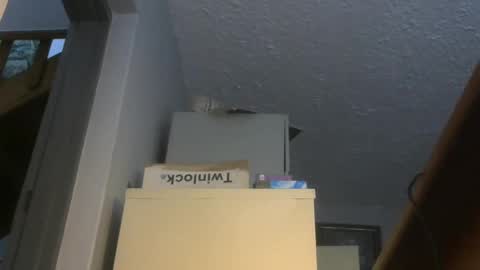 chaturbatordeluxe online show from 11/17/25, 03:34