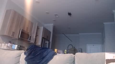 Snapshot of chefdev chatting on 11/19/25, 03:45 Chef Dev XXX online show from 11/19/25, 03:45