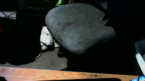 Snapshot of chefy999 chatting on 01/13/25, 10:47 chefy online show from 01/13/25, 10:47