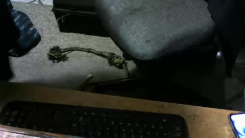 Snapshot of chefy999 chatting on 11/10/25, 10:14 chefy online show from 11/10/25, 10:14