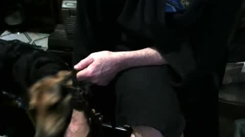 Snapshot of chefy999 chatting on 12/03/25, 11:41 chefy online show from 12/03/25, 11:41