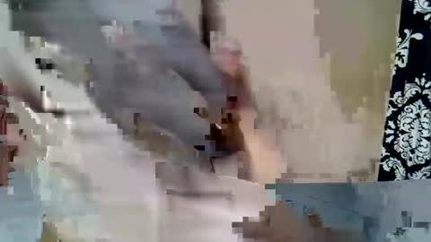 Keve Meddy online show from 02/23/26, 06:38