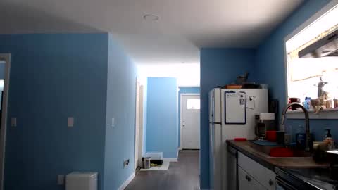 Chelsea online show from 03/24/26, 04:12