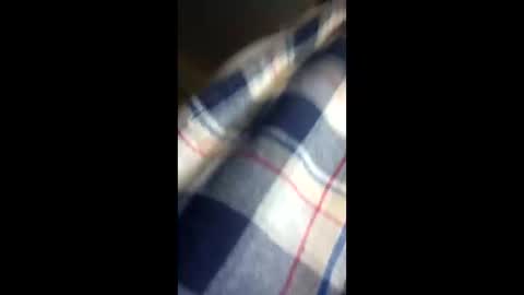 chi579822 online show from 03/14/26, 04:29