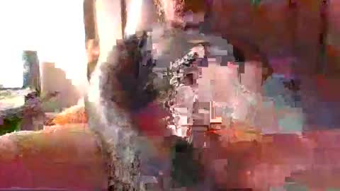 Snapshot of chikoink43 chatting on 12/31/24, 05:22 chikoink43 online show from 12/31/24, 05:22