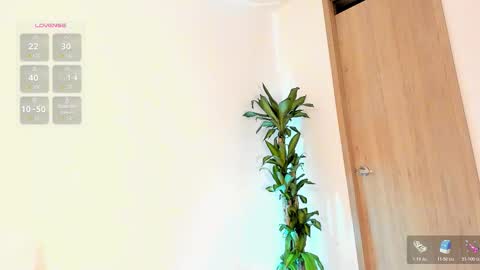    Schedule 7am to 2pm Col online show from 02/11/26, 11:59