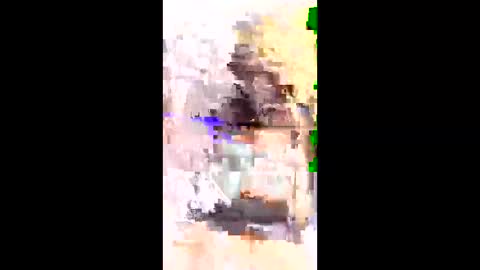 chinnu75 online show from 03/23/26, 06:56