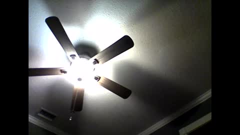 CHINO online show from 04/16/26, 12:44