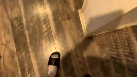 alejandro online show from 08/03/26, 11:19