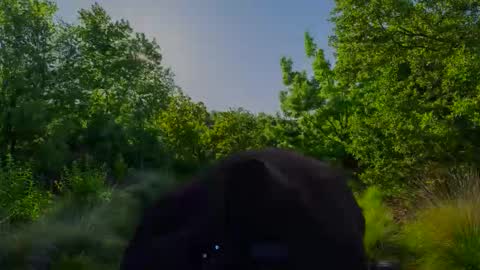 Christian online show from 11/12/25, 06:47