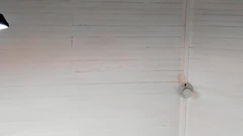 Chriz online show from 12/05/24, 05:37