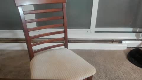 Snapshot of chris_sterlingxxx chatting on 12/31/24, 11:49 Chris Sterling online show from 12/31/24, 11:49