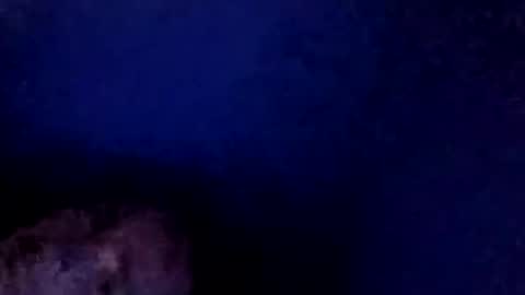 christmasfawks online show from 11/26/25, 03:57