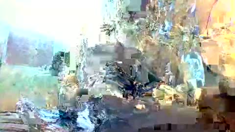 christopher1087 online show from 02/03/26, 01:15