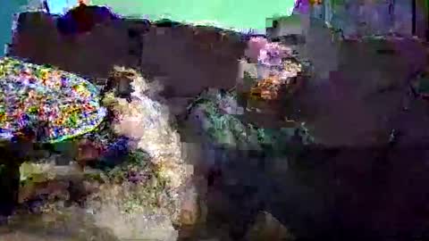 christopher1087 online show from 03/03/26, 07:58