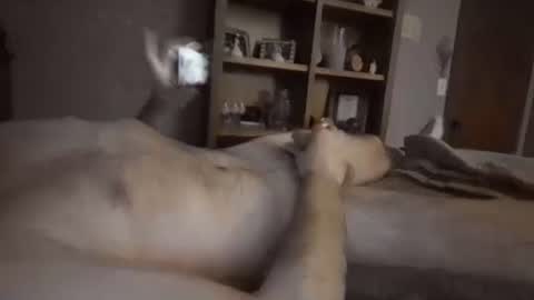 chrisw8121 online show from 02/06/26, 06:40