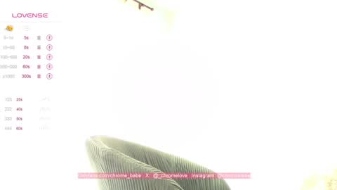 Snapshot of chromebabe_ chatting on 01/12/25, 04:08 Gwendy Fox online show from 01/12/25, 04:08