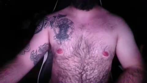 chub bear 99 online show from 05/07/26, 12:27