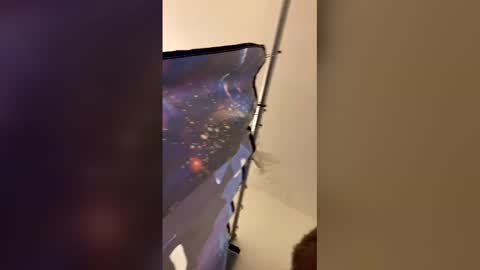 Mommy milf online show from 04/06/26, 03:26