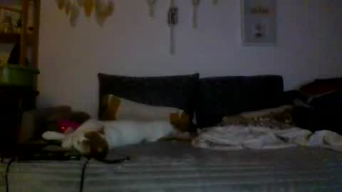 ciasnsyrize1996 online show from 03/04/25, 09:54