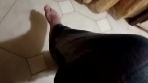 ciccilli online show from 11/04/25, 10:31