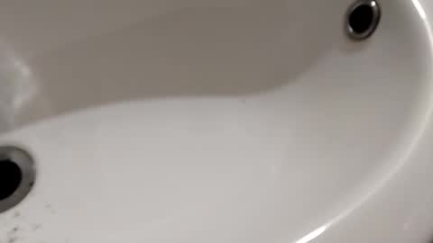 ciccilli online show from 11/06/25, 09:59