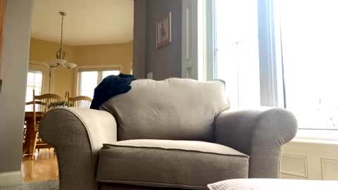 Snapshot of cinapw chatting on 12/21/24, 03:53 cinapw online show from 12/21/24, 03:53