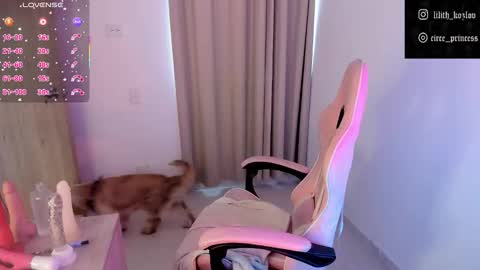 Snapshot of circe_l chatting on 11/17/25, 09:31 Paulina online show from 11/17/25, 09:31