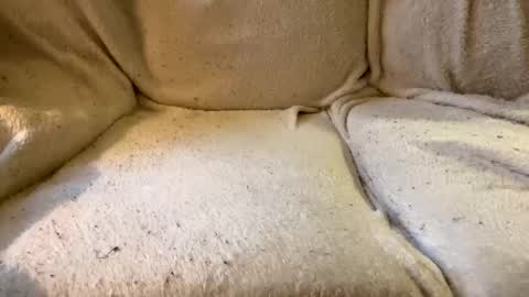 Snapshot of circlejerkslutt chatting on 12/17/24, 04:53 join the circle online show from 12/17/24, 04:53