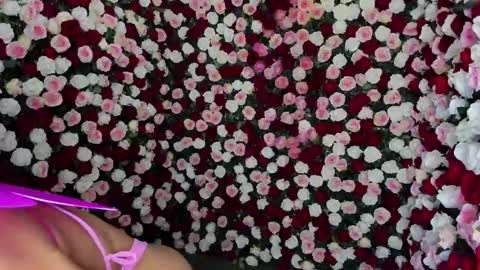Snapshot of clara_tenssio chatting on 12/23/24, 06:44 Clara online show from 12/23/24, 06:44