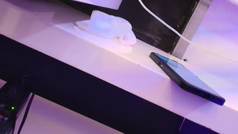 Snapshot of cleeoadams_ chatting on 01/24/25, 07:51 Cleo Adams online show from 01/24/25, 07:51