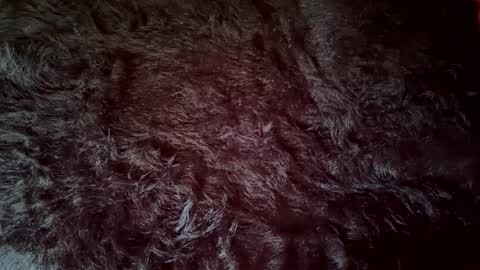 Snapshot of clydeninethousand chatting on 09/20/25, 04:52 clydeninethousand online show from 09/20/25, 04:52