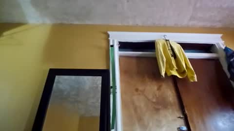 BbcMan online show from 04/18/26, 07:58