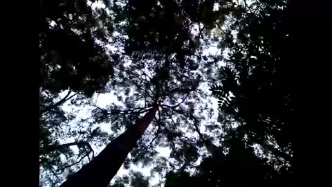 Snapshot of cmdwmd chatting on 01/26/25, 08:57 Matriarch Muse online show from 01/26/25, 08:57