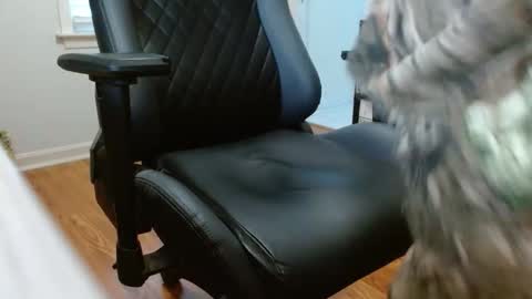 cobra19765 online show from 01/17/26, 10:02