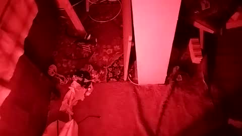 Cocolino  online show from 04/12/26, 05:18